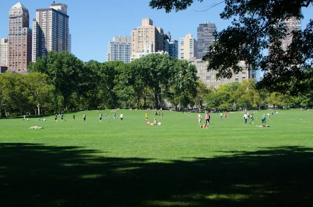 activité famille a new york en 4 jours 